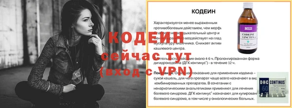 сатива Верея