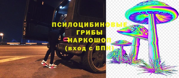 марки nbome Бородино
